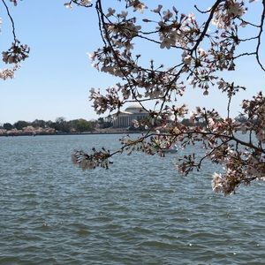 Meet your Posher, Ellie